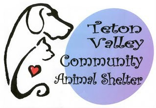 Teton Valley Community Animal Shelter