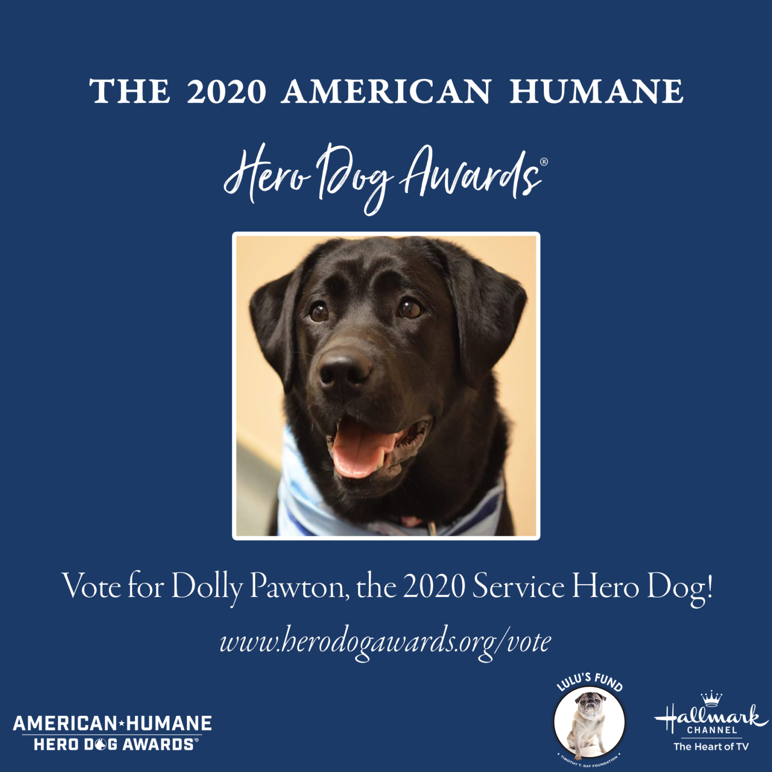 2020 AMERICAN HUMANE HERO DOG AWARDS Timothy T. Day Foundation